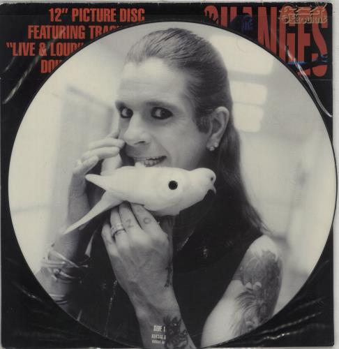 貴重●アナログ●CHANGES OzzyOsbourne ピクチャーディスク 貴重○アナログ○CHANGES OzzyOsbourne ピクチャーディスク